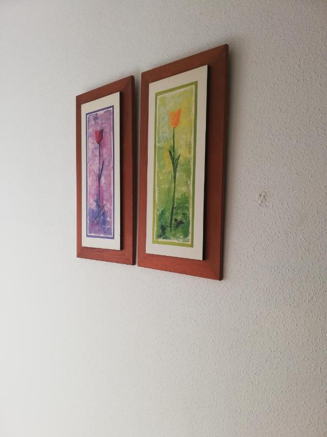 Apartamento Naturista En Primera Linea En Natura World! Vera Exterior photo